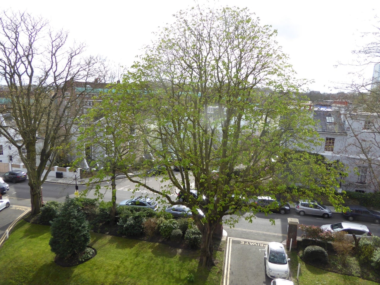 1 Bed Flat, Eton Hall, NW3