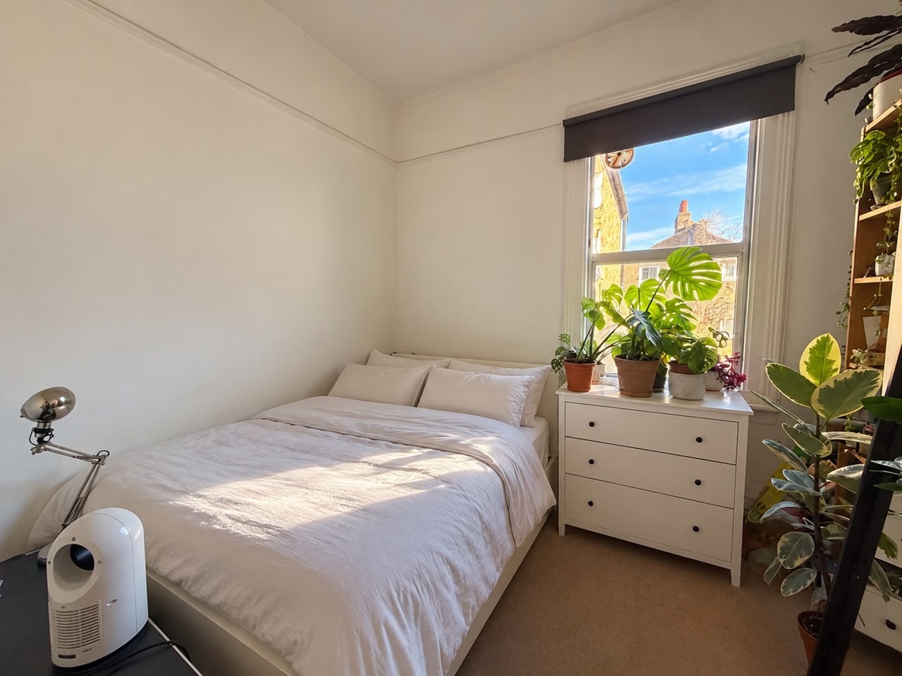 Room in a Shared Flat, Solon Road, SW2