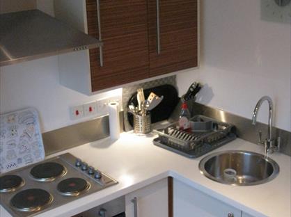 Studio Flat, Winchester Street, SW1V