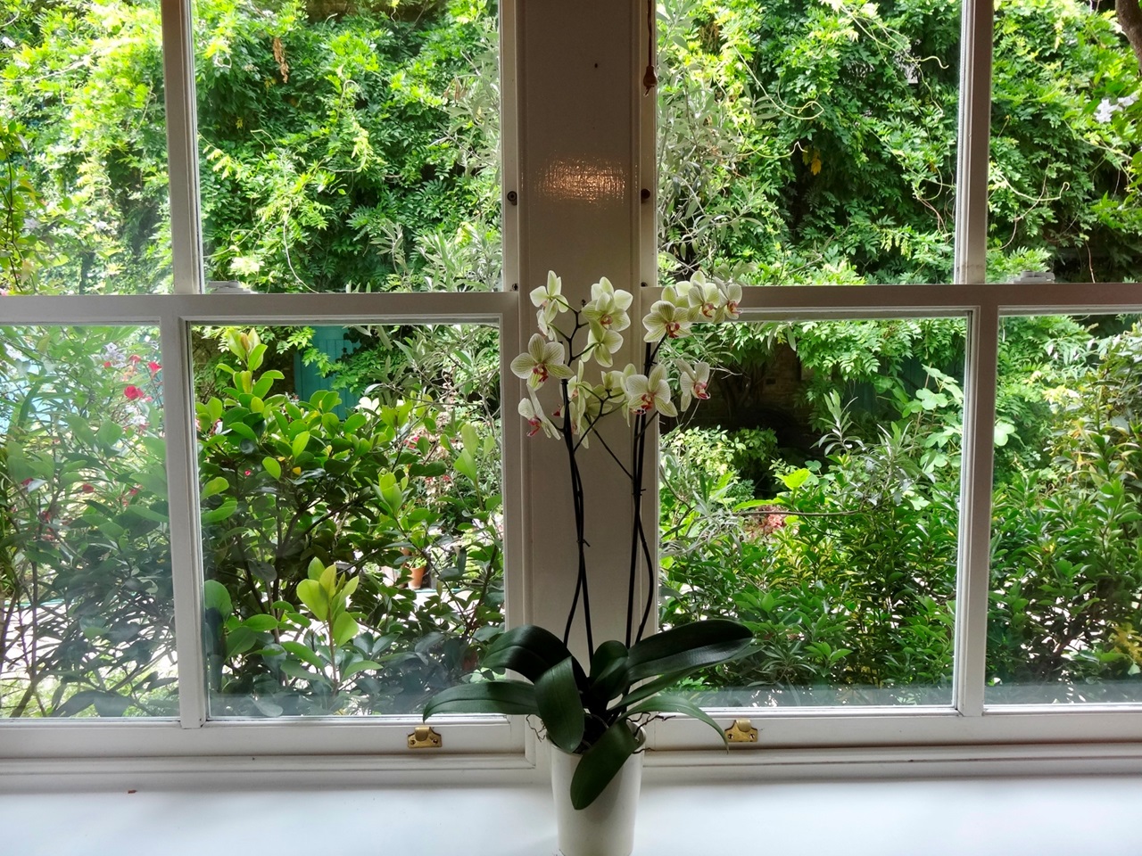 Additional image 9 of Studio Flat, Southwick Mews, W2, N1 7GU