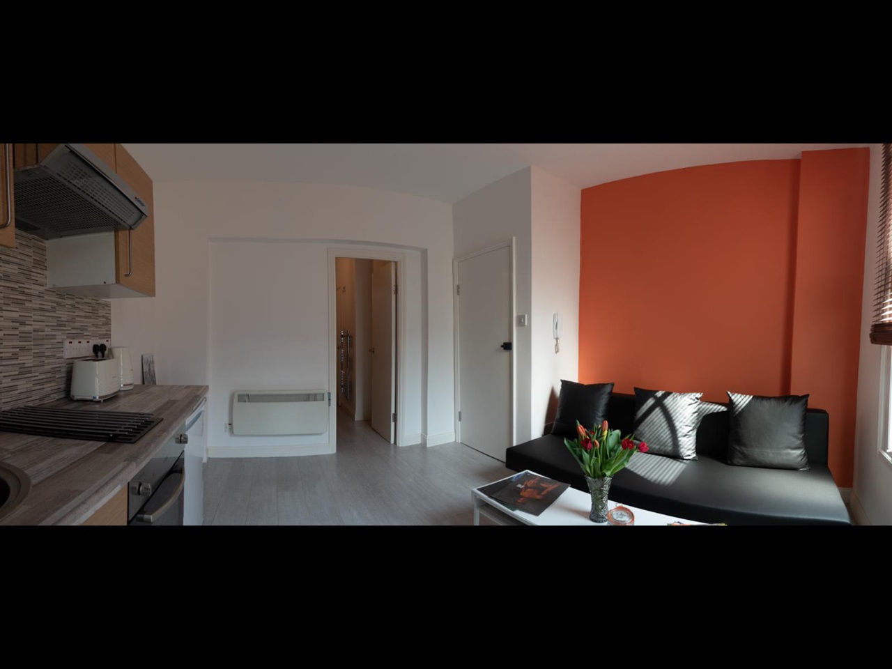 Studio Flat, Hackney, E8 photo 4