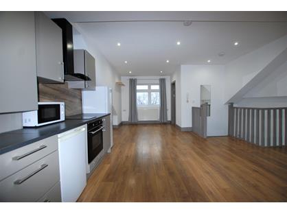 Studio Flat, Anerley Road, SE20