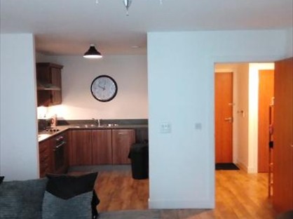 1 bed flat/apartment for rent in 1 Bed Flat, Worsdell Drive, NE8