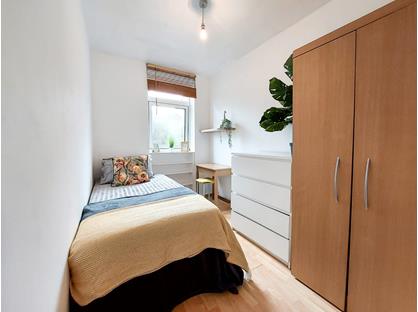 Room in a Shared Flat, Glaucus Street, E3