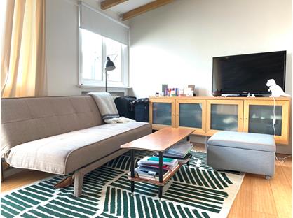 Studio Flat, Danbury Street, N1