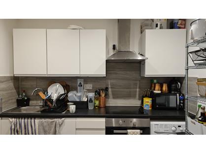 1 Bed Flat, Vicarage Road, E10