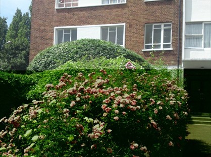 2 Bed Flat, Lindale, SW19