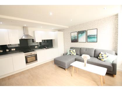 2 Bed Semi-Detached House, St Lukes, L1