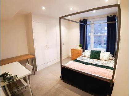 Room in a Shared Flat, Devonshire Place, W1G