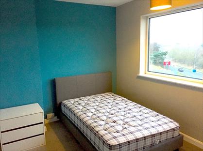 Room in a Shared House, Landseer Road, IP3