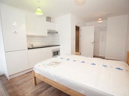 Studio Flat, Madison Heights, TW3