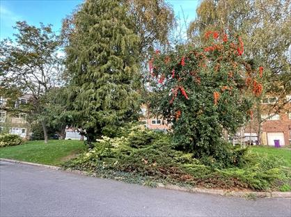 Room in a Shared House, Capstan Square, E14