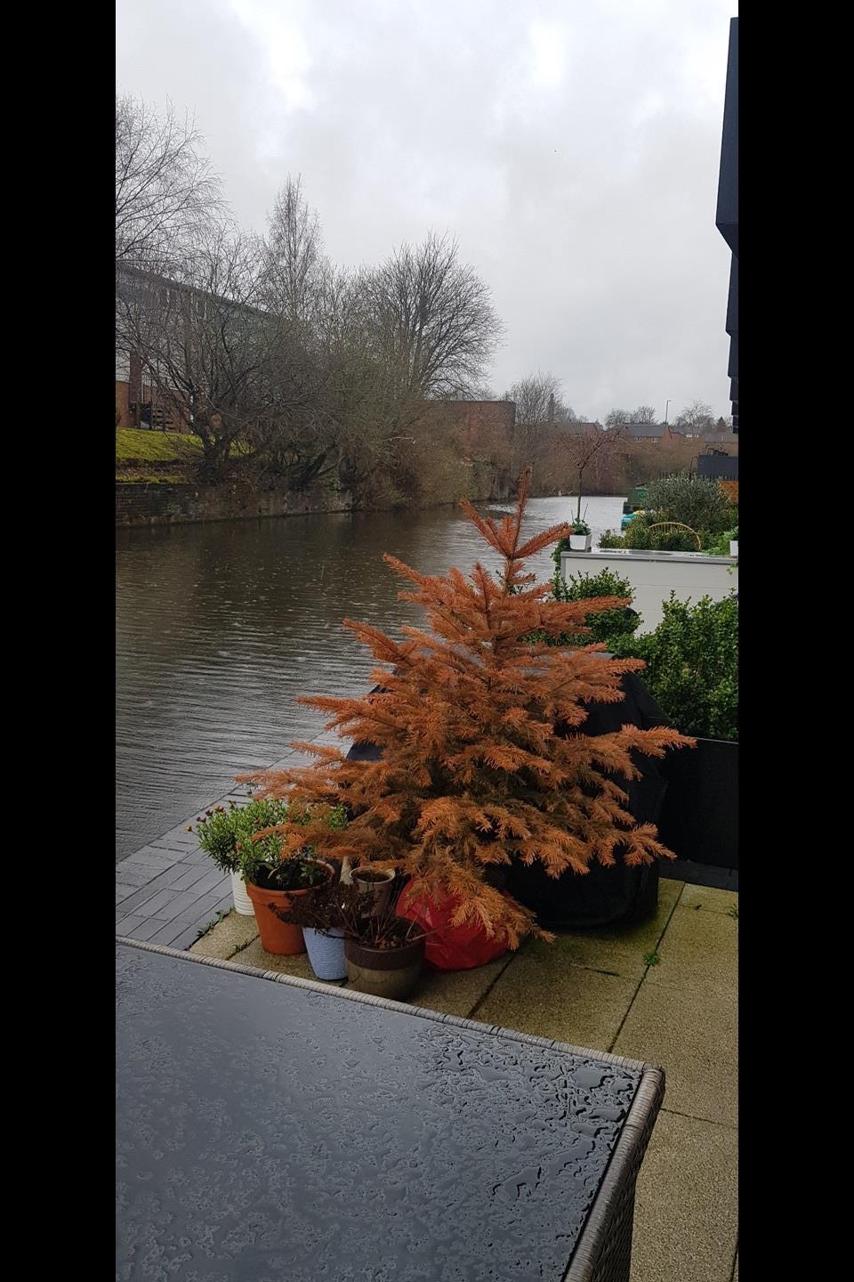 Additional image 8 of Room in a Shared House, South Loop Park, B16, N1 7GU