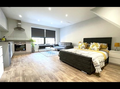 Studio Flat, Alma Street, LU1