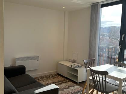 Studio Flat, Lydia Ann Street, L1