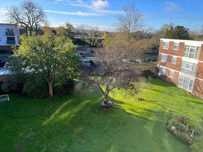 3 Bed Flat, Parkwood, BR3