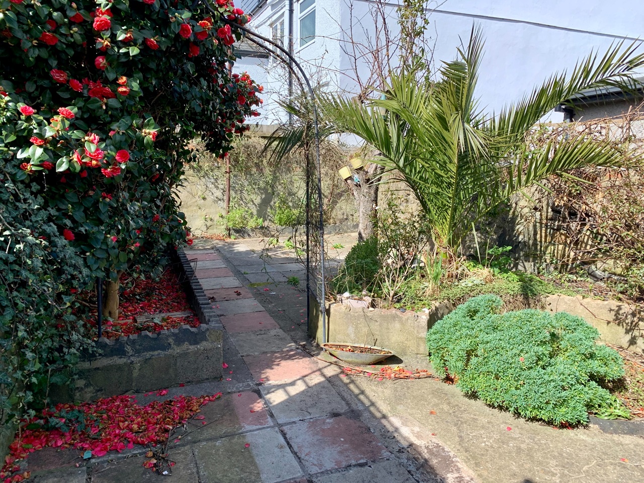 Additional image 9 of 1 Bed Flat, Carlisle Street, CF24, N1 7GU