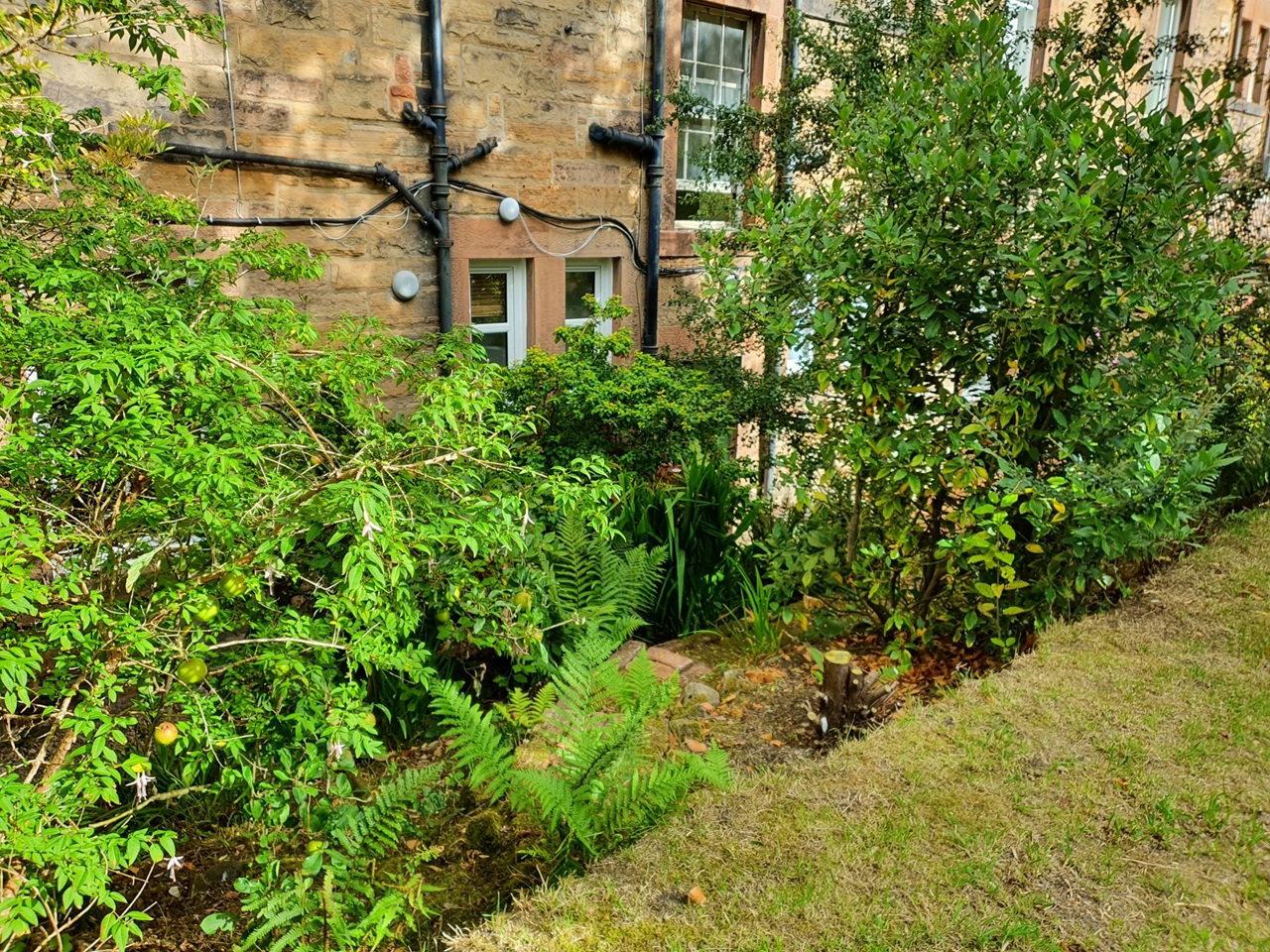 Additional image 19 of 2 Bed Flat, Slateford Road, EH11, N1 7GU