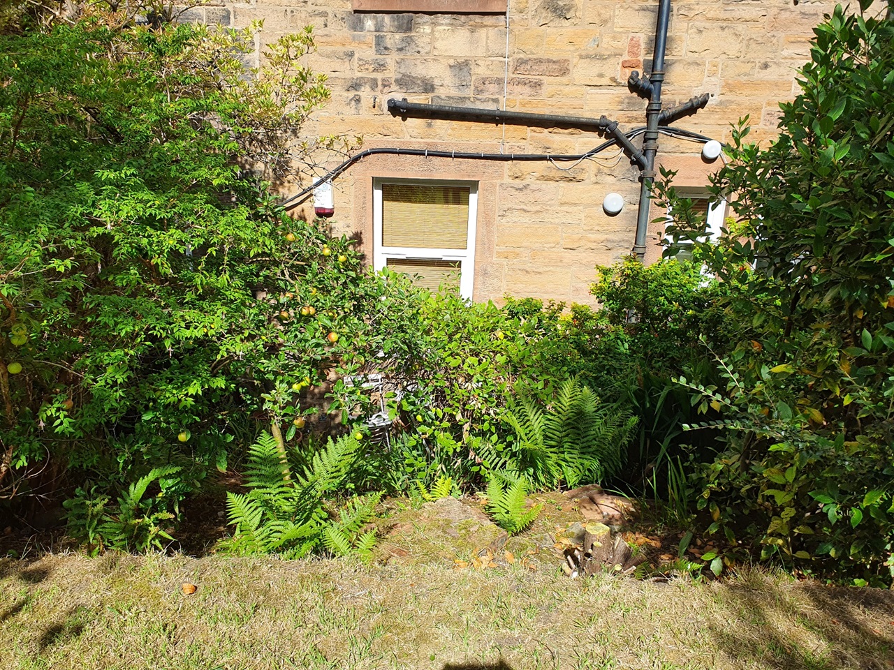 Additional image 20 of 2 Bed Flat, Slateford Road, EH11, N1 7GU