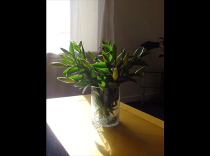 1 Bed Flat, John Knox Court, AB24