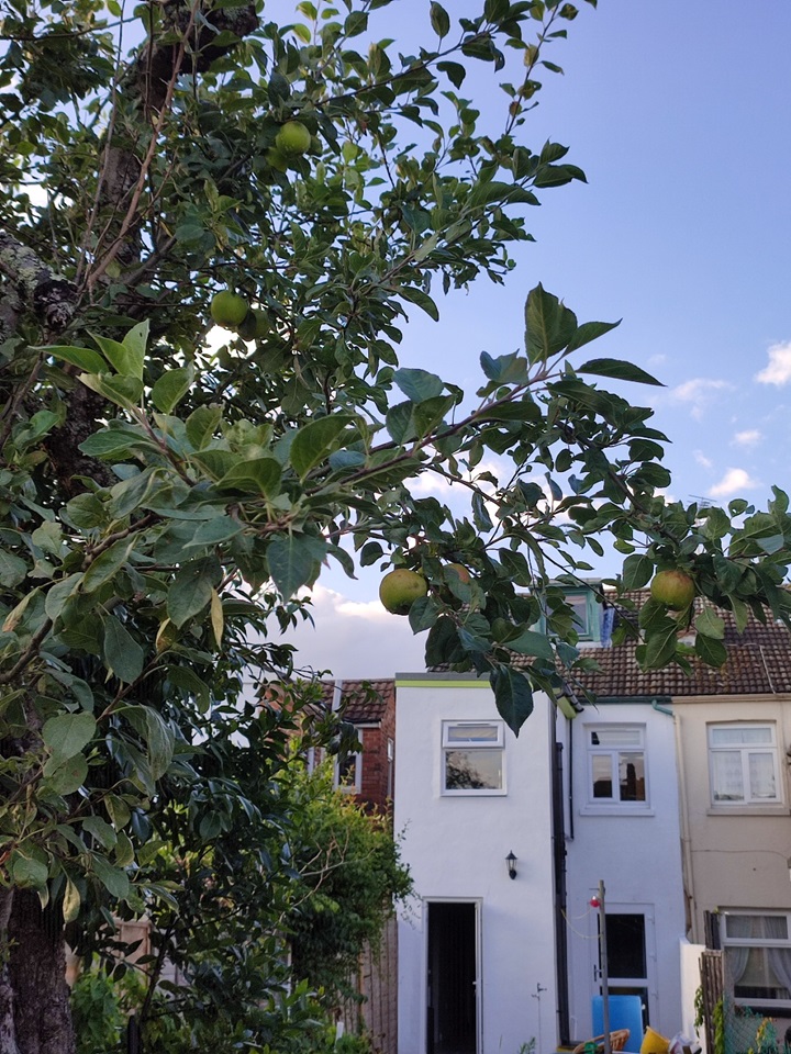 Additional image 5 of Room in a Shared House, Sir Georges Road, SO15, N1 7GU
