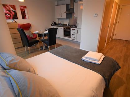 Studio Flat, Rillaton Walk, MK9