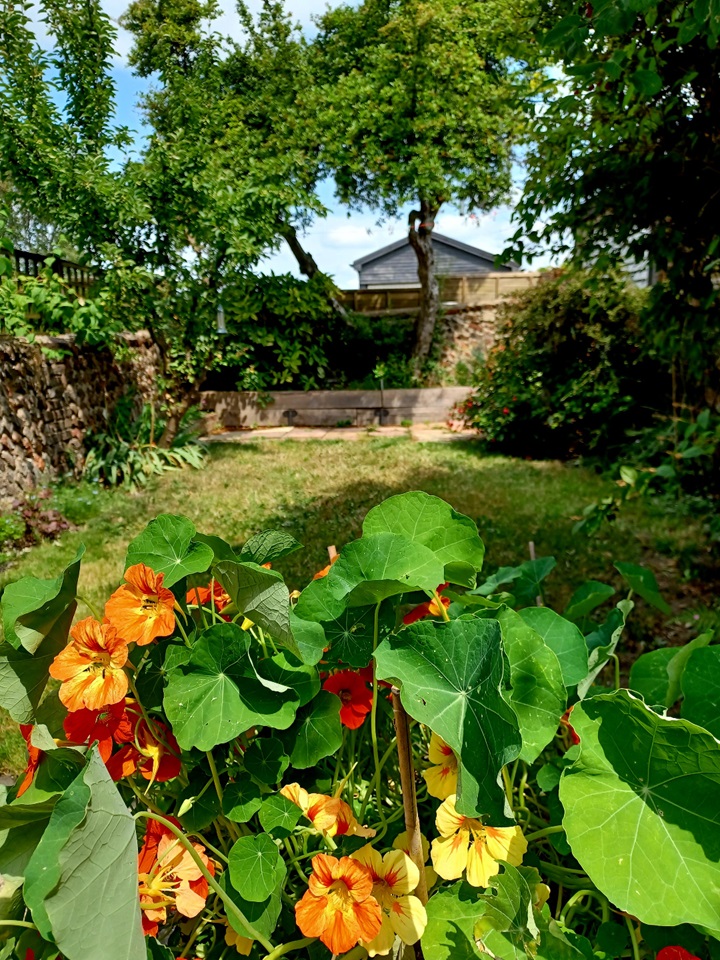 Additional image 34 of 3 Bed Terraced House, Ladysmith Road, BN2, N1 7GU