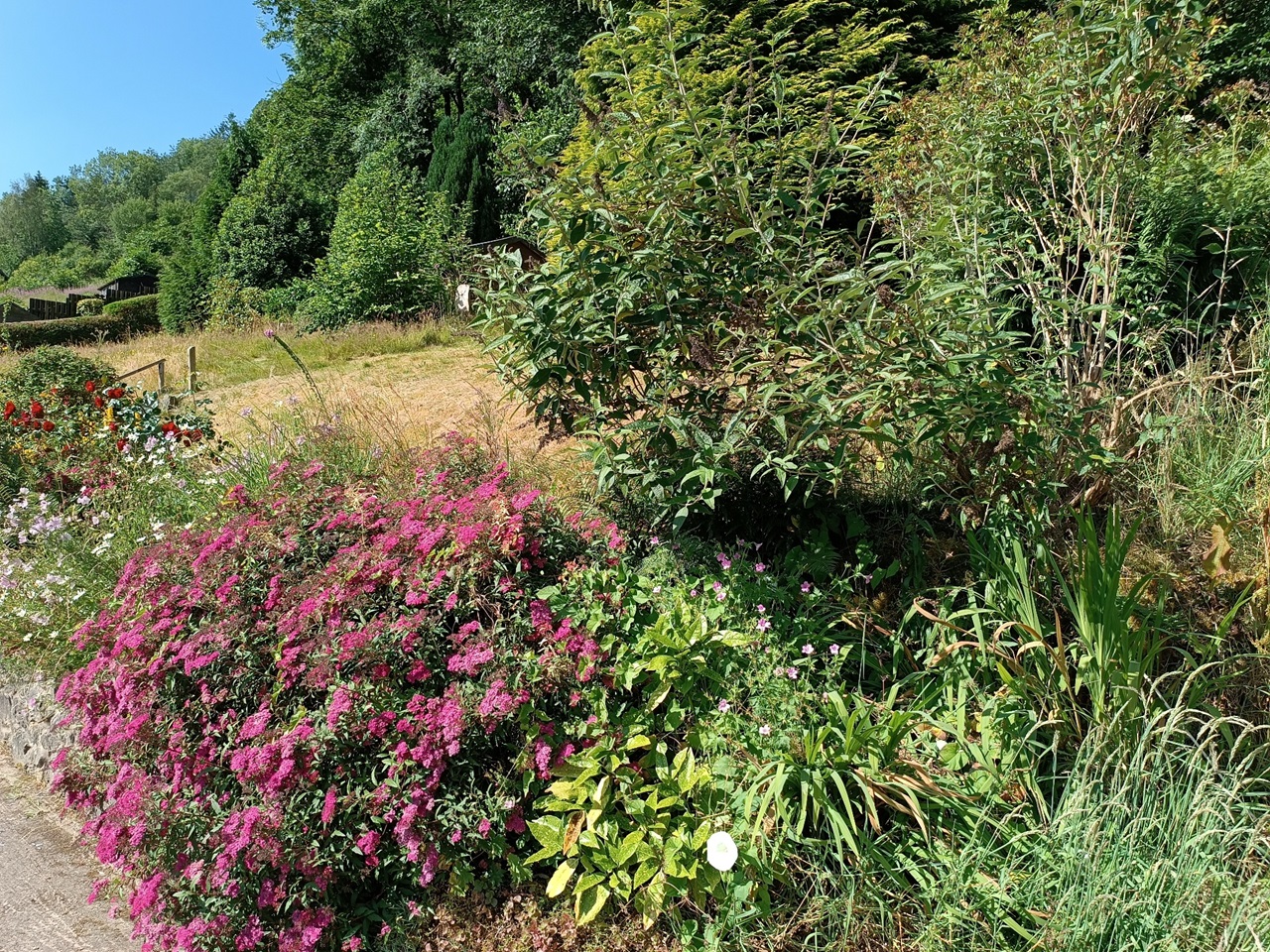 Glyn Ceiriog, Llangollen Room in a Shared House, Nantyr Road, LL20 To Rent Now for £350.00 p/m