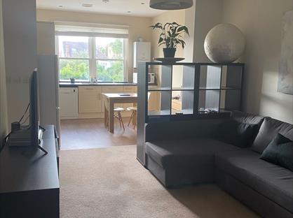 Room in a Shared Flat, Elm Grove Road, W5