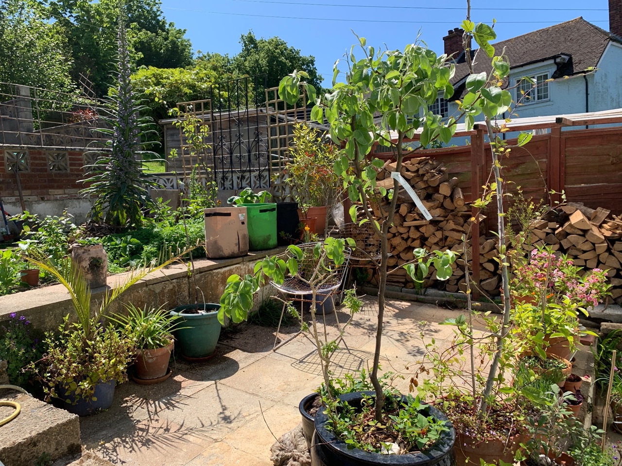 Hastings 3 Bed Terraced House, Barley Avenue, TN35 To Rent Now for