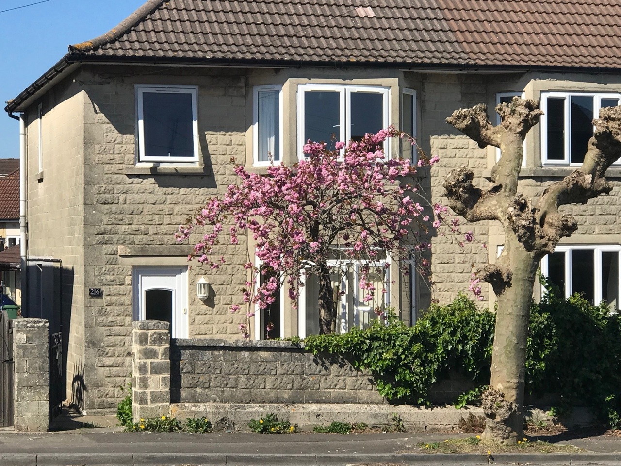 Bath - Room in a Shared House, The Hollow, BA2 - To Rent Now for £825. ...