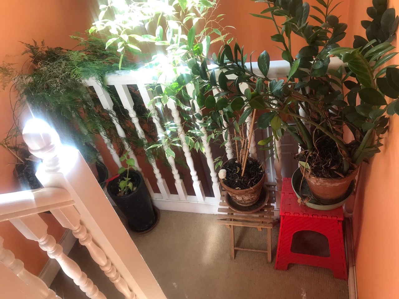 Ilford Studio Flat, Wanstead Park Road, IG1 To Rent Now for £850.00 p/m