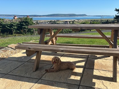 4 Bed Detached House, Gwscwm Road, SA16