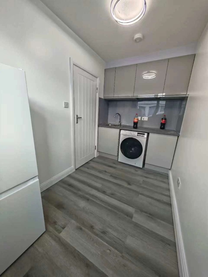 Studio Flat, Swedenborg Gardens, E1 photo 4