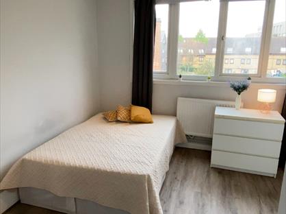 Room in a Shared Flat, Holmefield House, W10