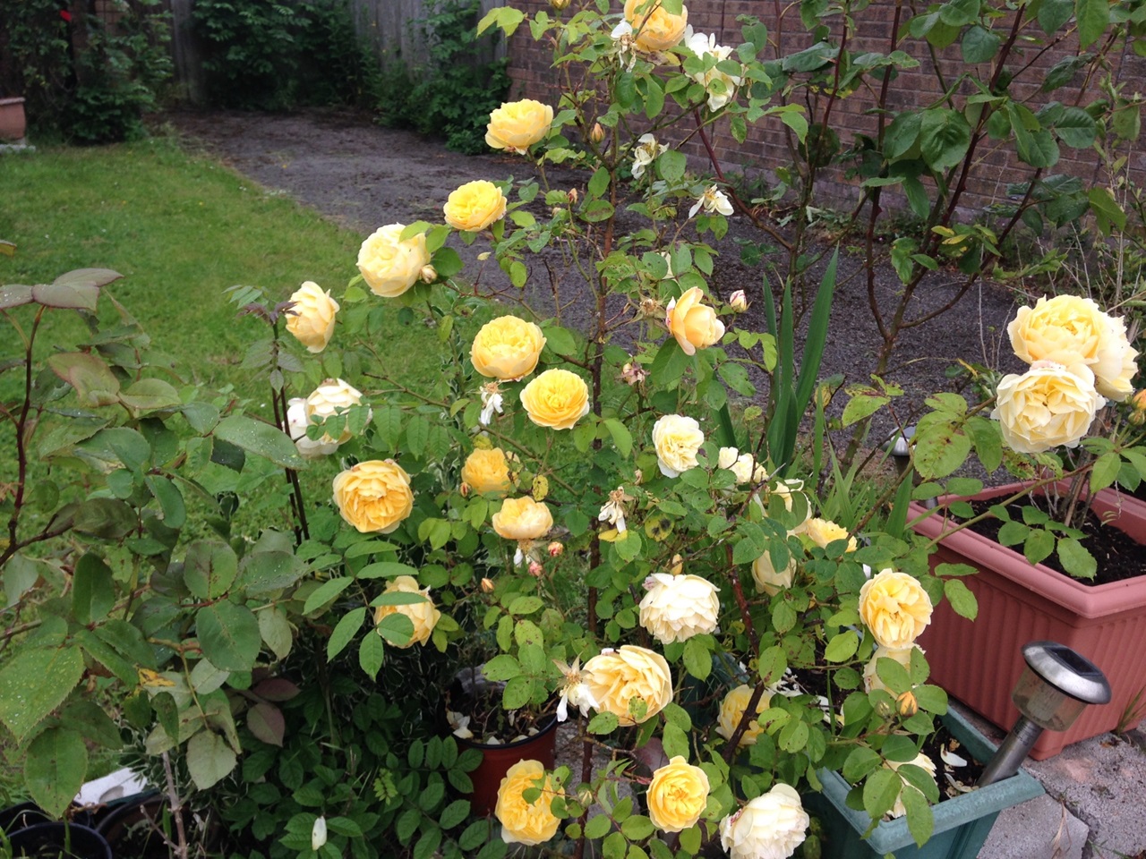 Additional image 15 of Room in a Shared House, Cardiff, CF10, N1 7GU