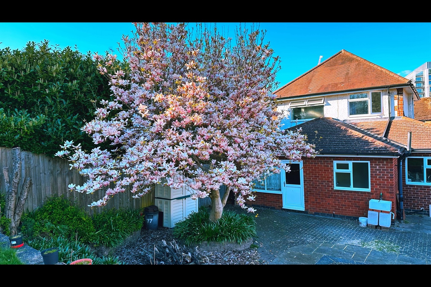 Studio Flat, Michaelmas Road, CV3 photo 4