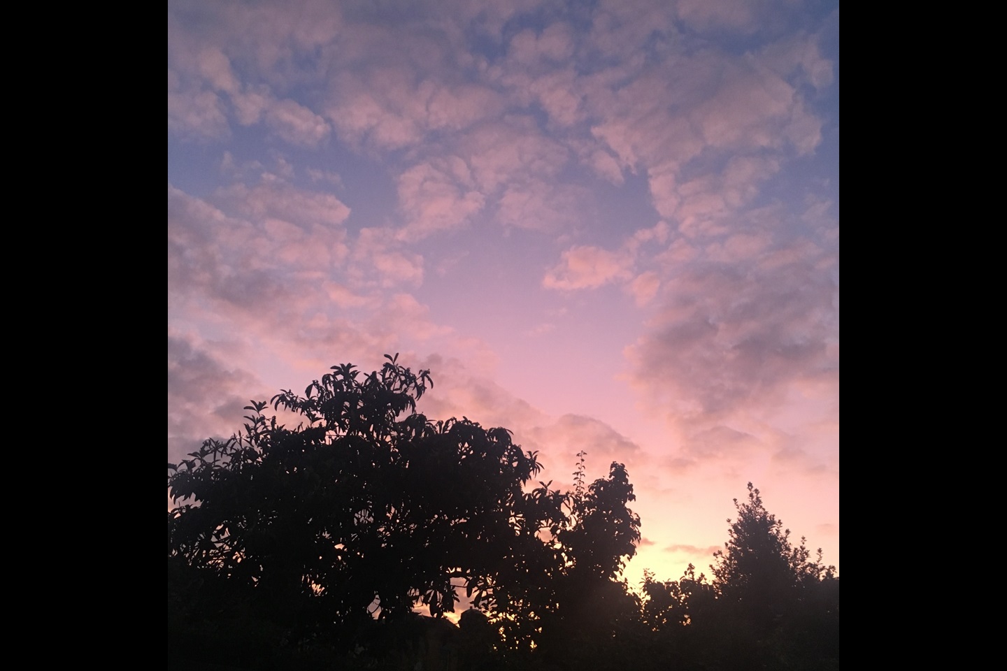 London 3 Bed Flat, Coleman Road, SE5 To Rent Now for £3,090.00 p/m