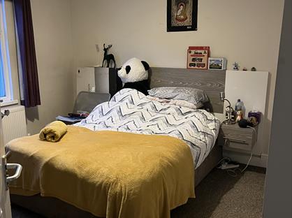 Room in a Shared House, Waylen St, RG1