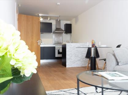 1 Bed Flat, Bridport Street, L3