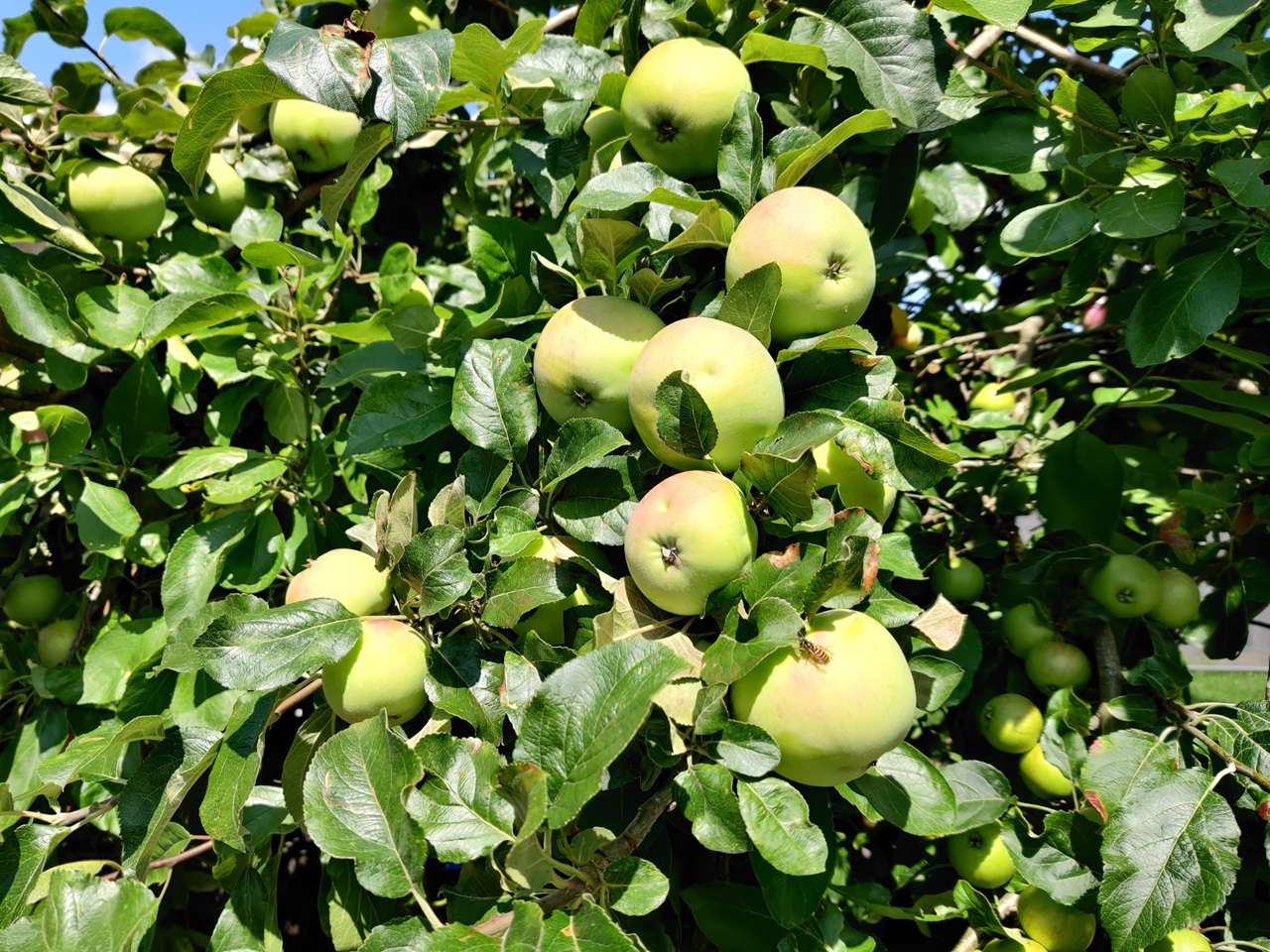 Additional image 6 of Room in a Shared House, School Road, BS4, N1 7GU