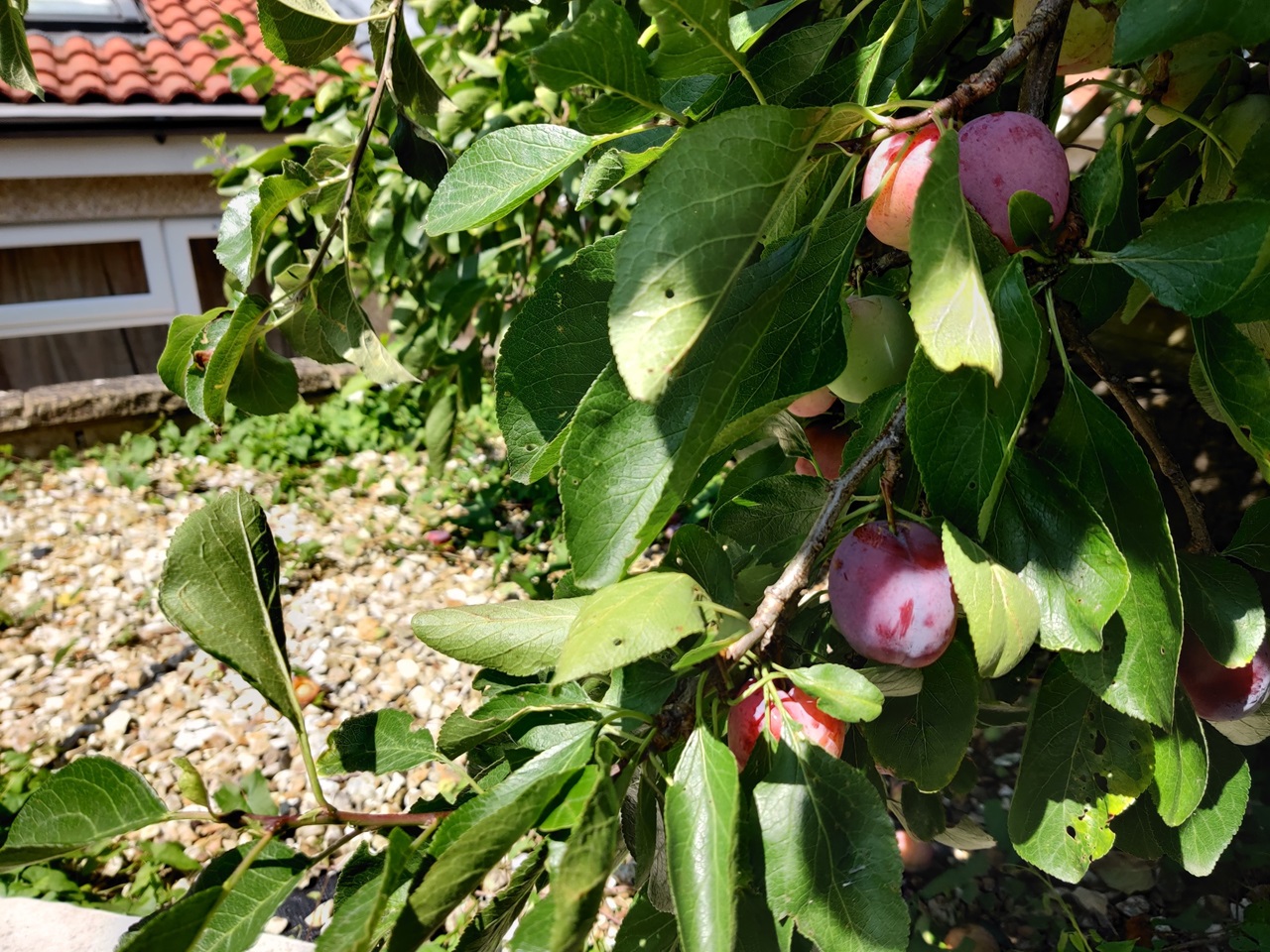 Additional image 7 of Room in a Shared House, School Road, BS4, N1 7GU