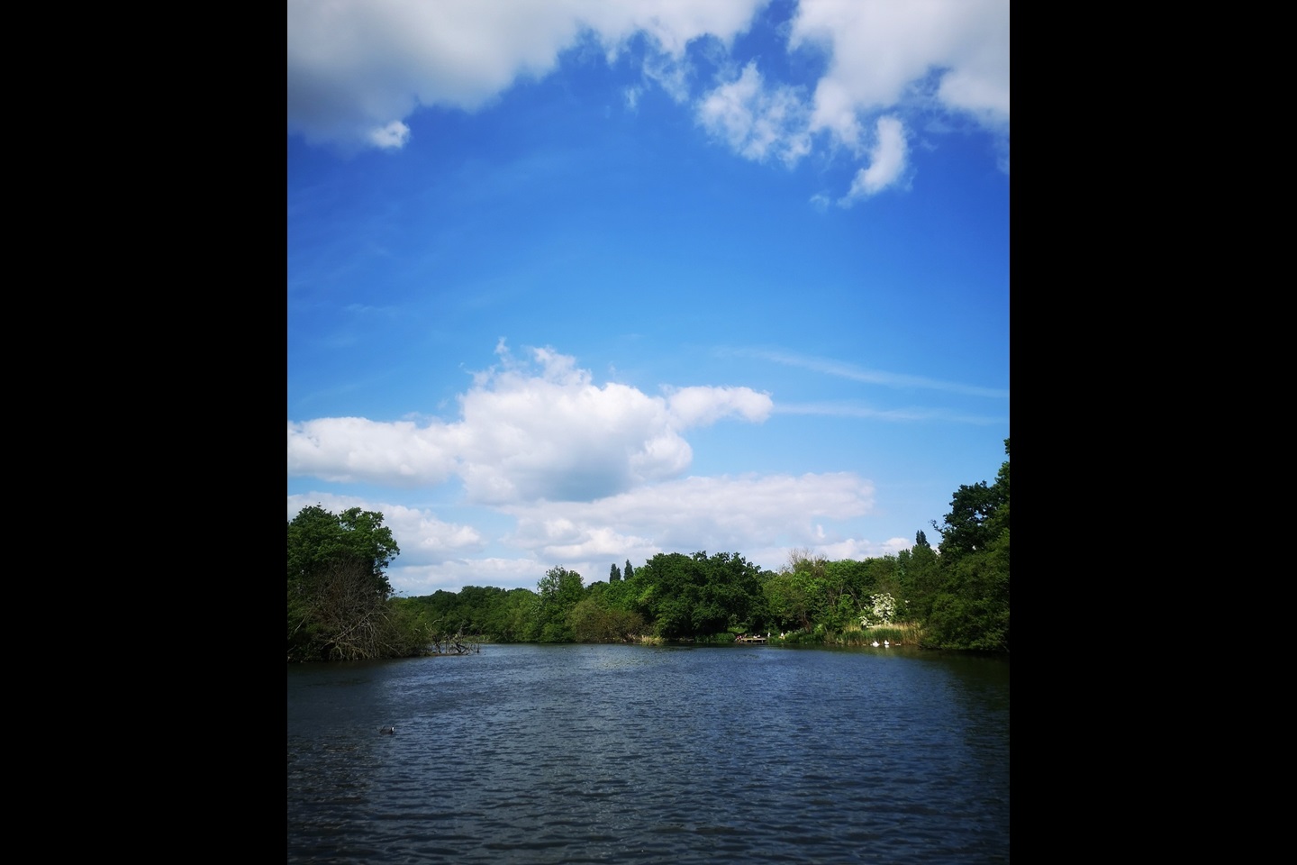 London Studio Flat, Woodford Green, IG8 To Rent Now for £1,000.00 p/m