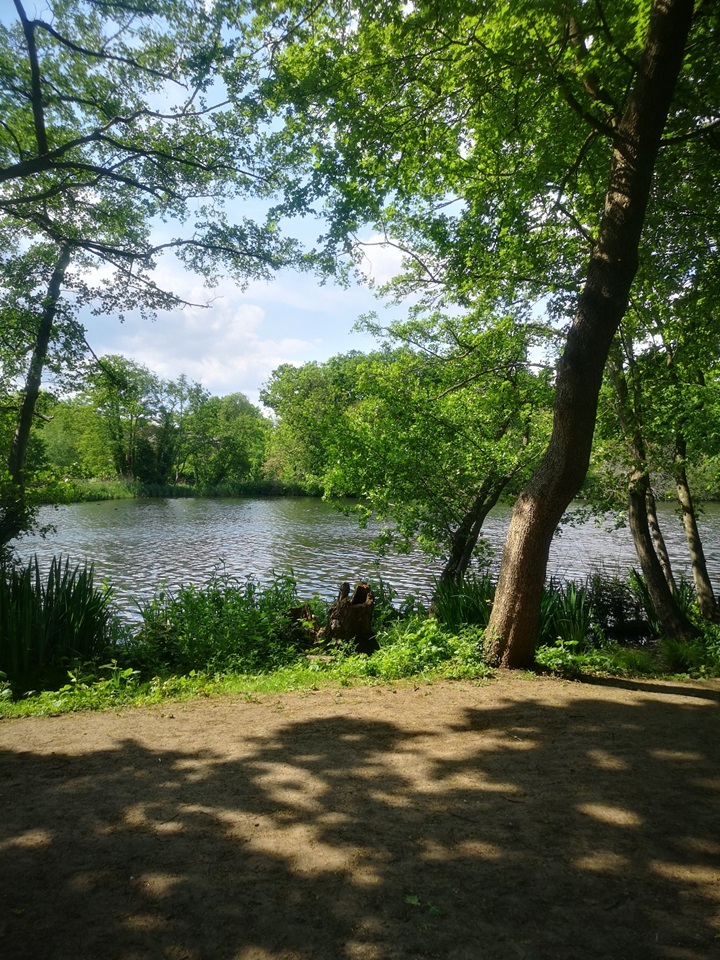 London Studio Flat, Woodford Green, IG8 To Rent Now for £1,000.00 p/m