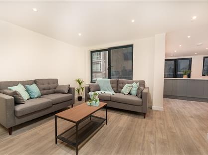 7 Bed Flat, Anglo Works, S1