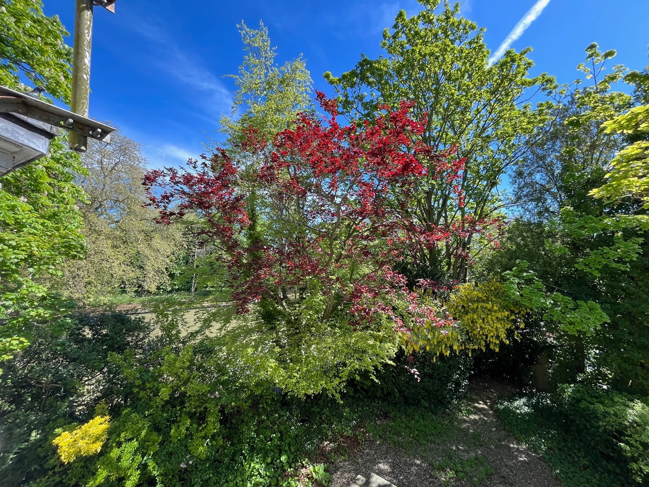 Oxford 1 Bed Flat, Isis House, OX1 To Rent Now for £1,400.00 p/m