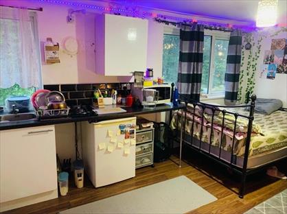 Studio Flat, Goldings Crescent, AL10