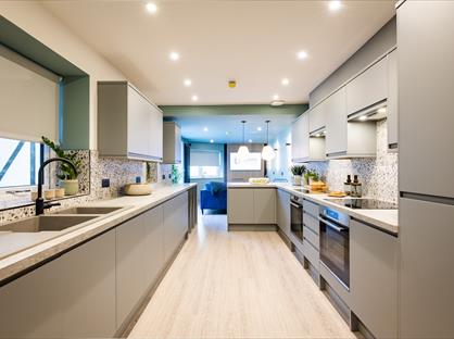 Room in a Shared House, Montpelier Terrace, SA1