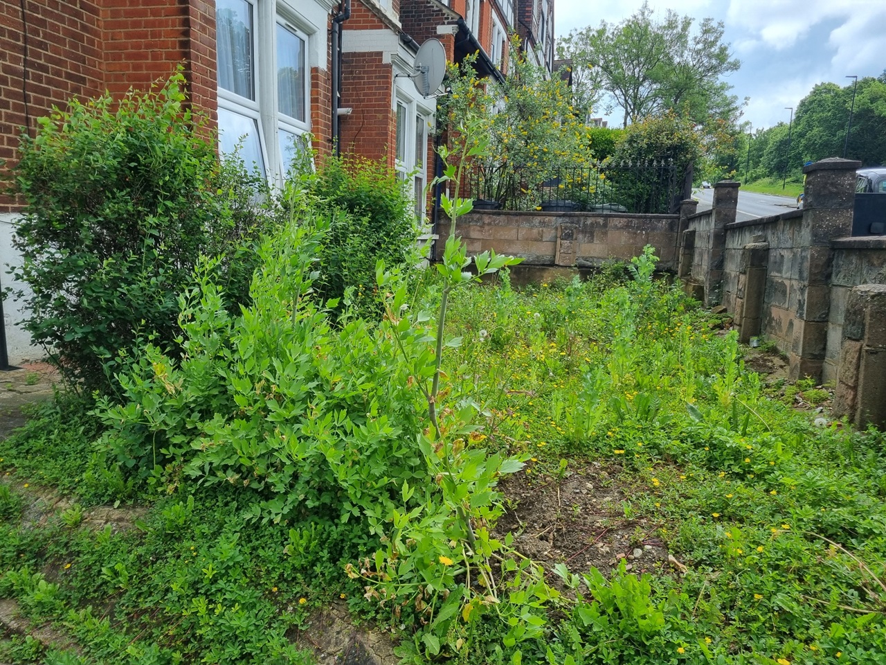 London 1 Bed Flat, Streatham Common North, SW16 To Rent Now for £