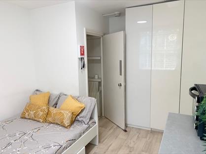 Room in a Shared House, Claverton Street, SW1V